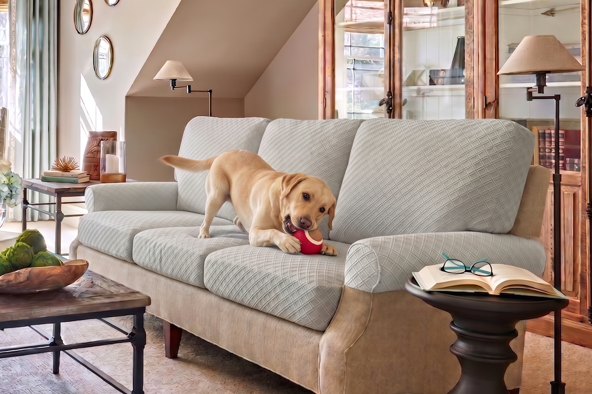 Multifunctional and Worry-Free Sofa Cushion